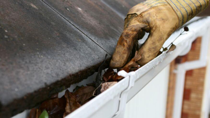 clean the gutters